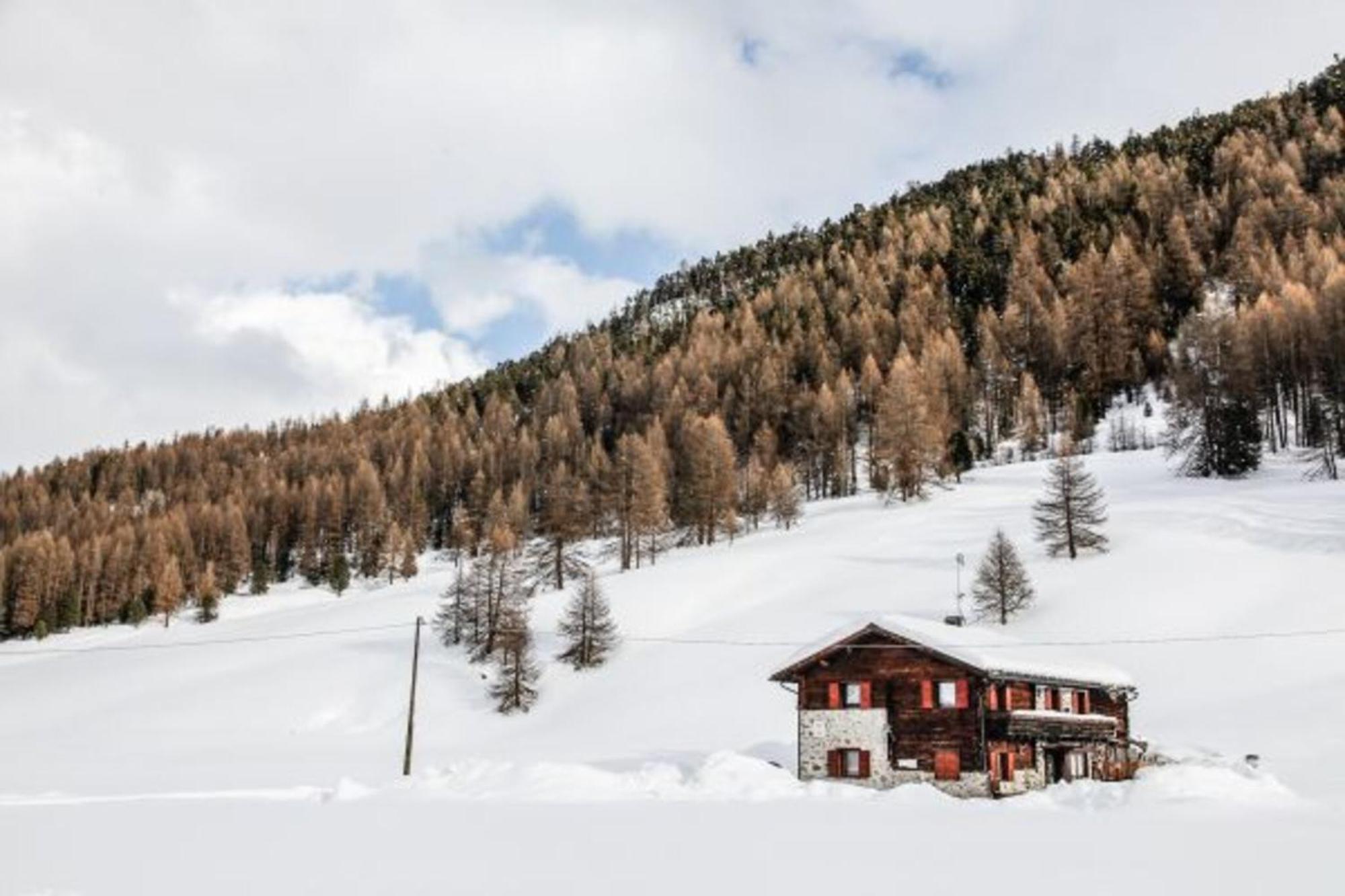 Appartamento Pizalegn Bait Da Rez Livigno Exterior photo