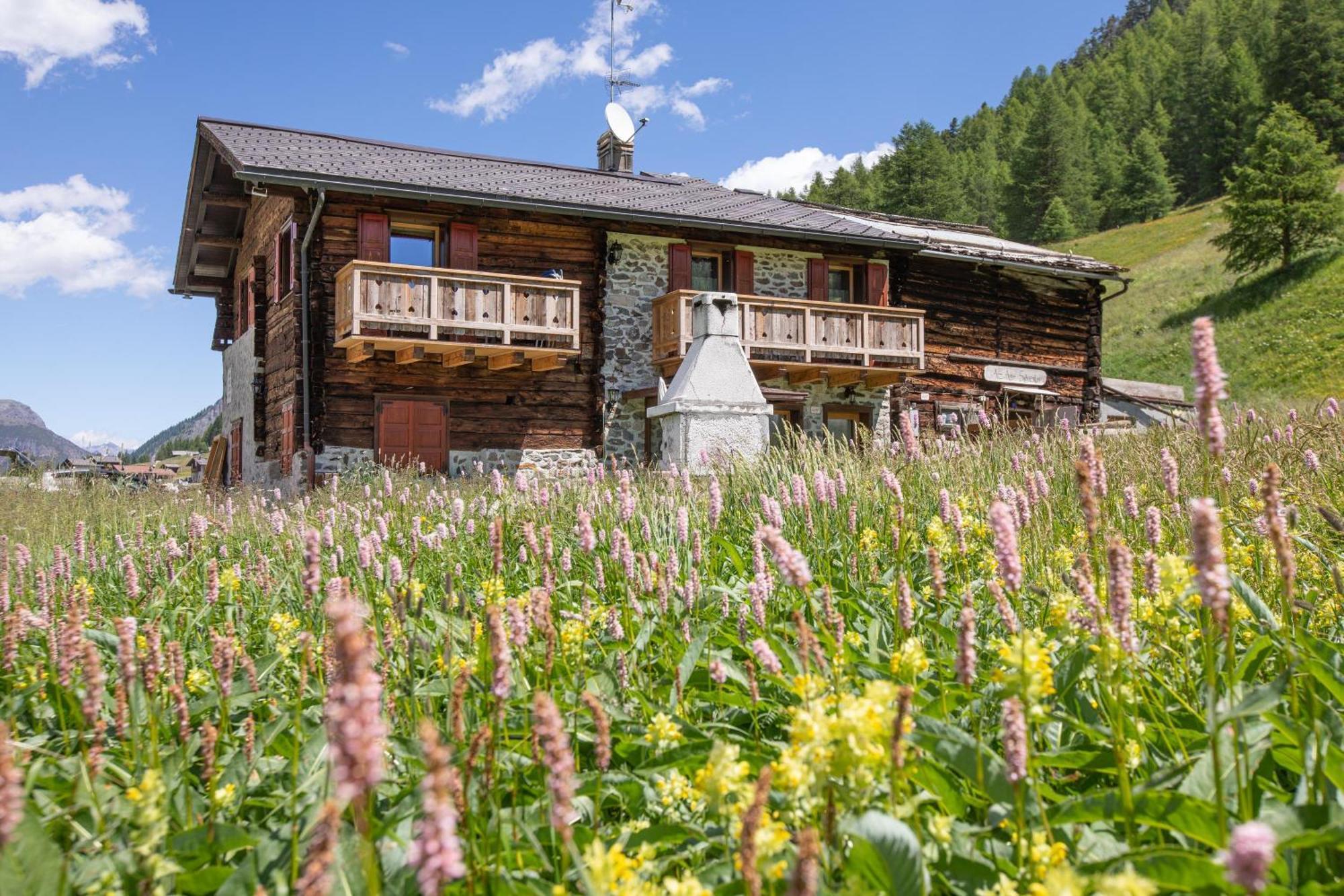 Appartamento Pizalegn Bait Da Rez Livigno Exterior photo